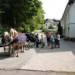Affittacamere Cafe-pension Waldesruh 3*