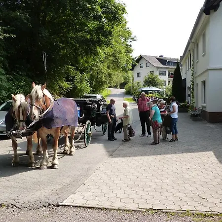 Pensjonat Cafe-pension Waldesruh 3*