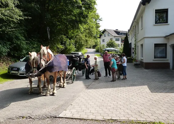 Gasthof Cafe-pension Waldesruh 3*