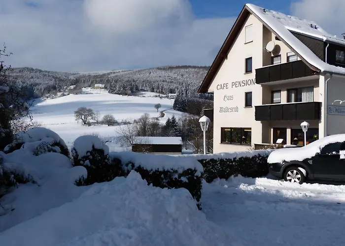 Cafe-pension Waldesruh 3*